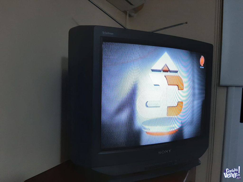 Burro sol fuga Tv Sony 21 Pulgadas en Córdoba Vende