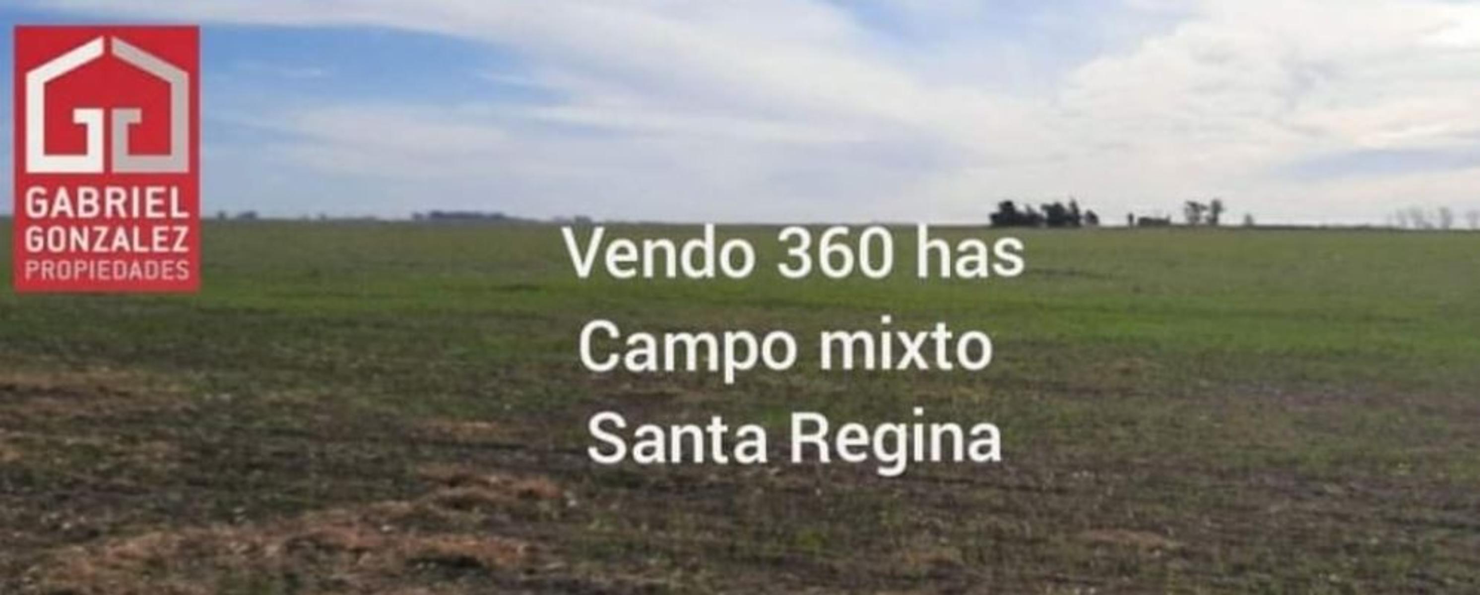 Campo mixto 360has. Santa Regina