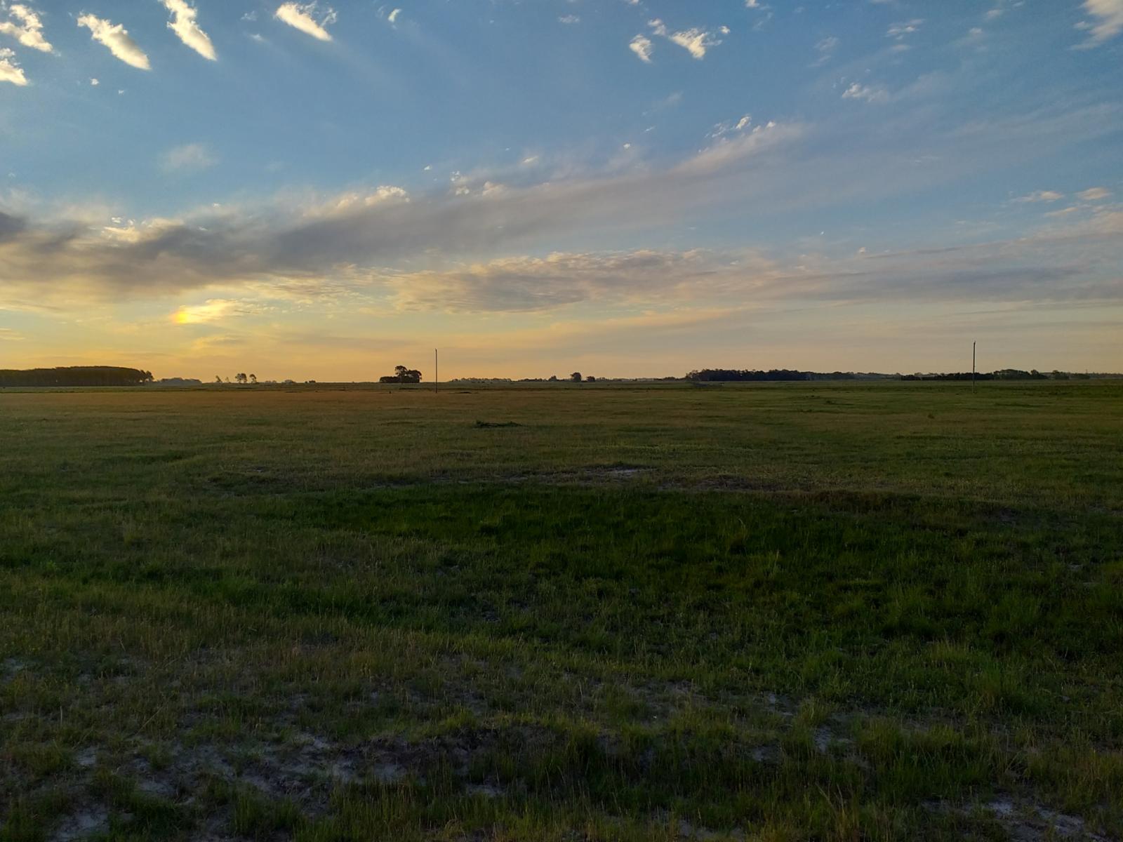 CAMPO en Alquiler sobre Ruta a 131 km de CABA