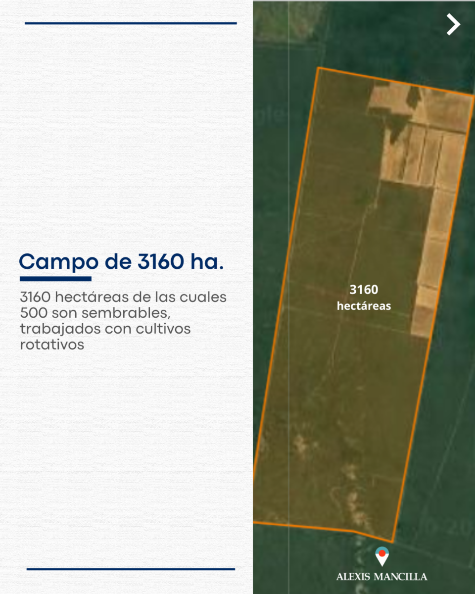 ¡Oportunidad Campo 3160 ha. Rosario de la Frontera - Salta