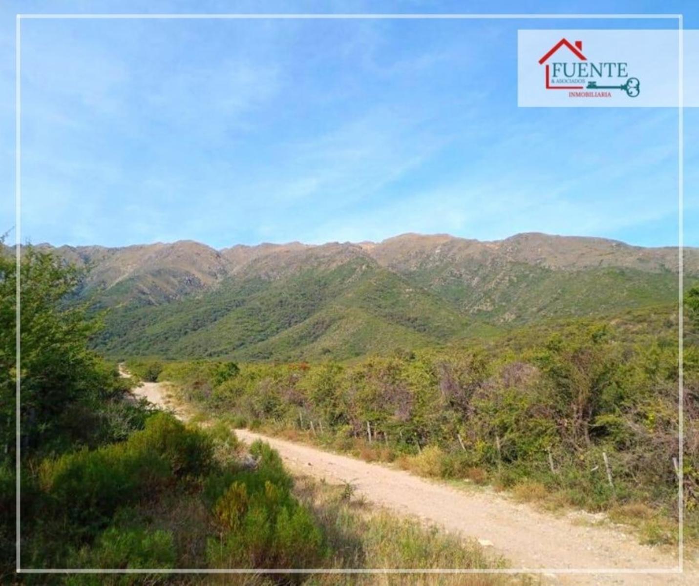 CAMPO CON ARROYO EN LOS MOLLES - A 15 MIN DE VILLA DE MERLO - VENTA PERMUTA