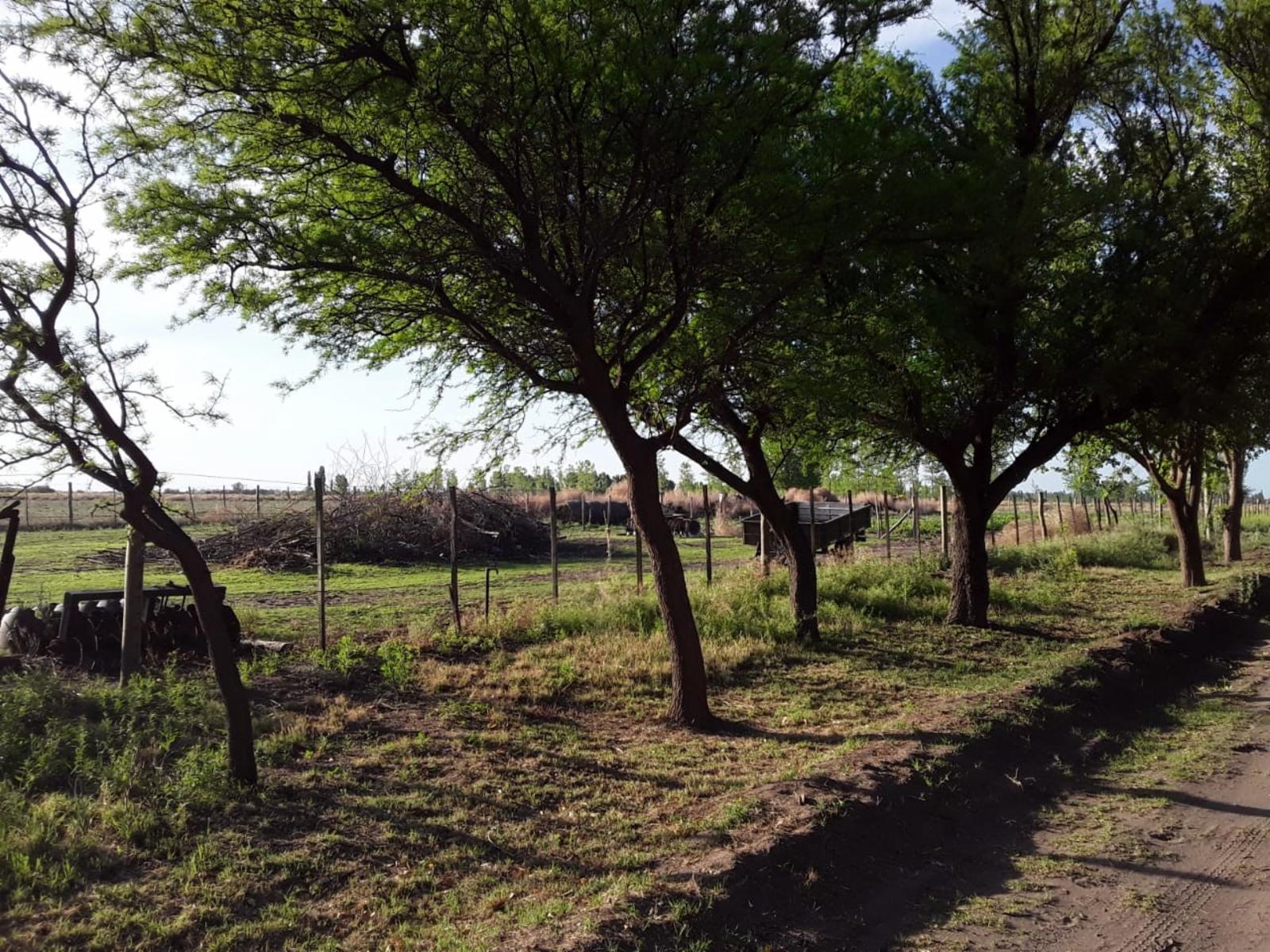 Campo en Venta 36 Ha San Rafael