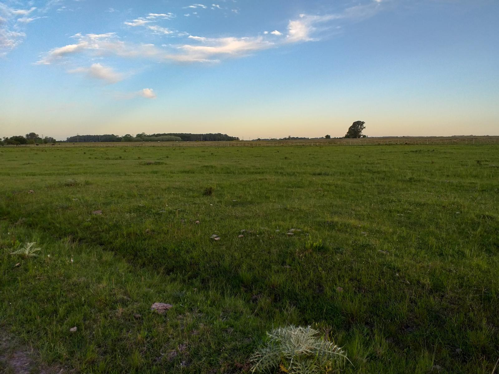 CAMPO en Alquiler sobre Ruta a 131 km de CABA