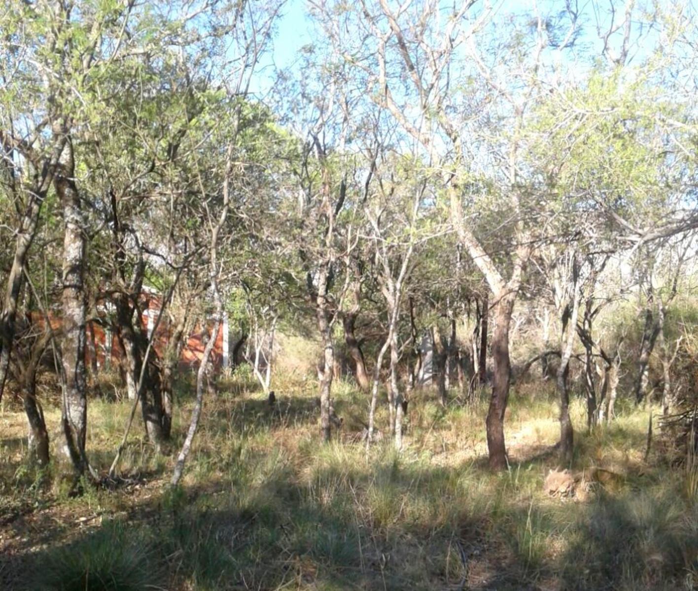 LOTE / Esquina / CRUZ DE CAÑA (cba)