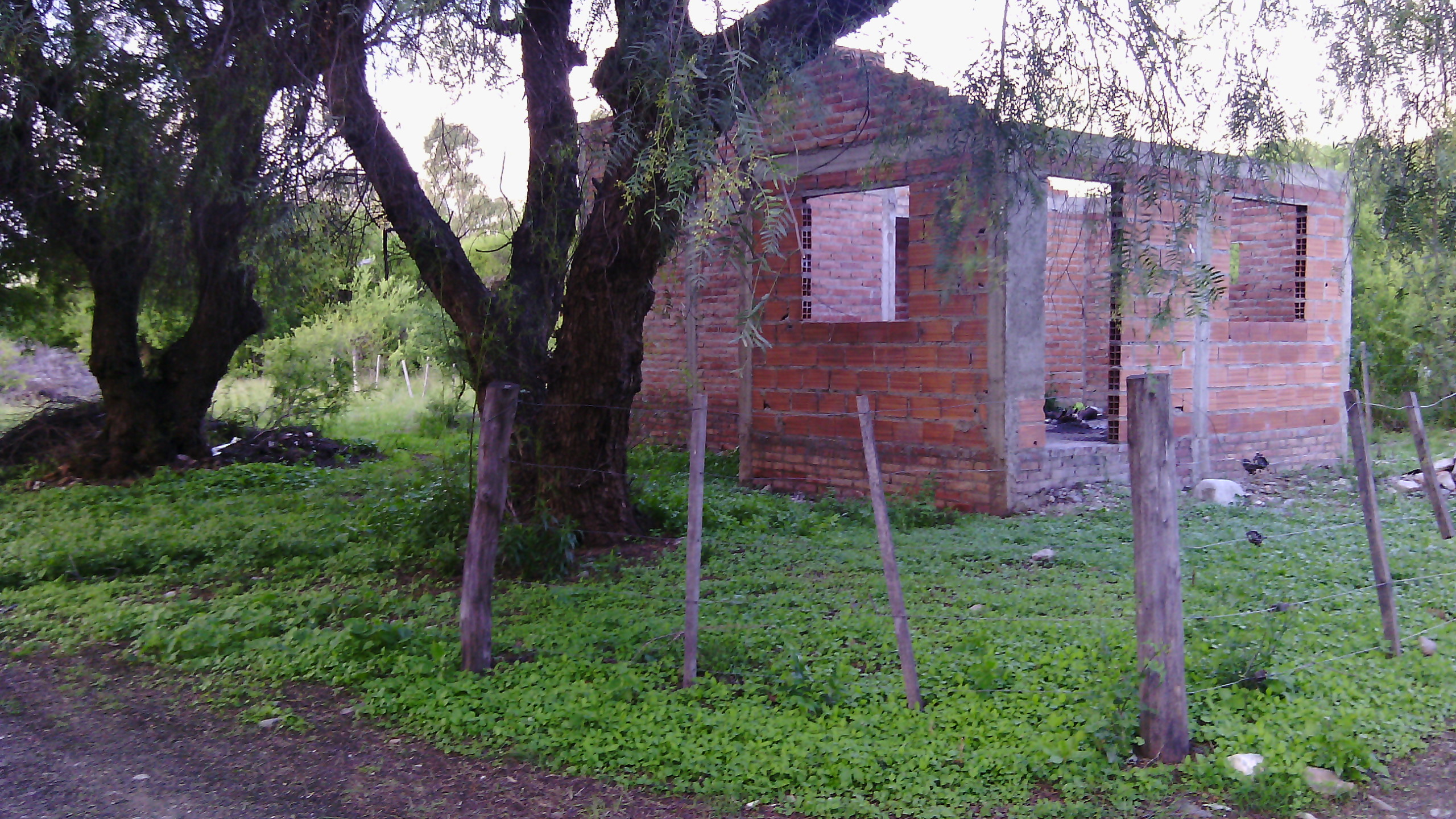 LOTE CÉNTRICO MERLO / Plano aprobados