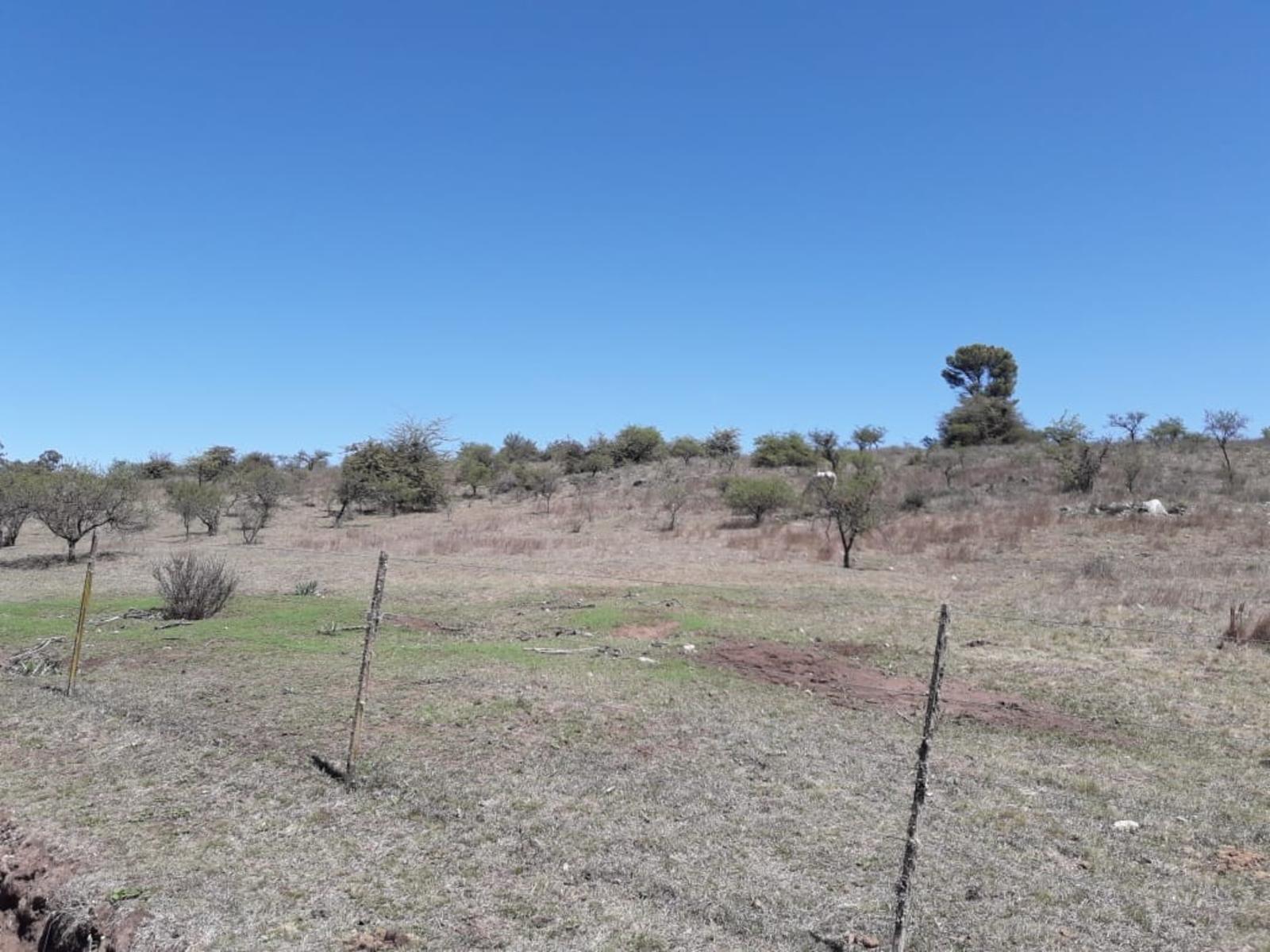 Terreno 8.3 Ha Escritura Los Reartes Córdoba