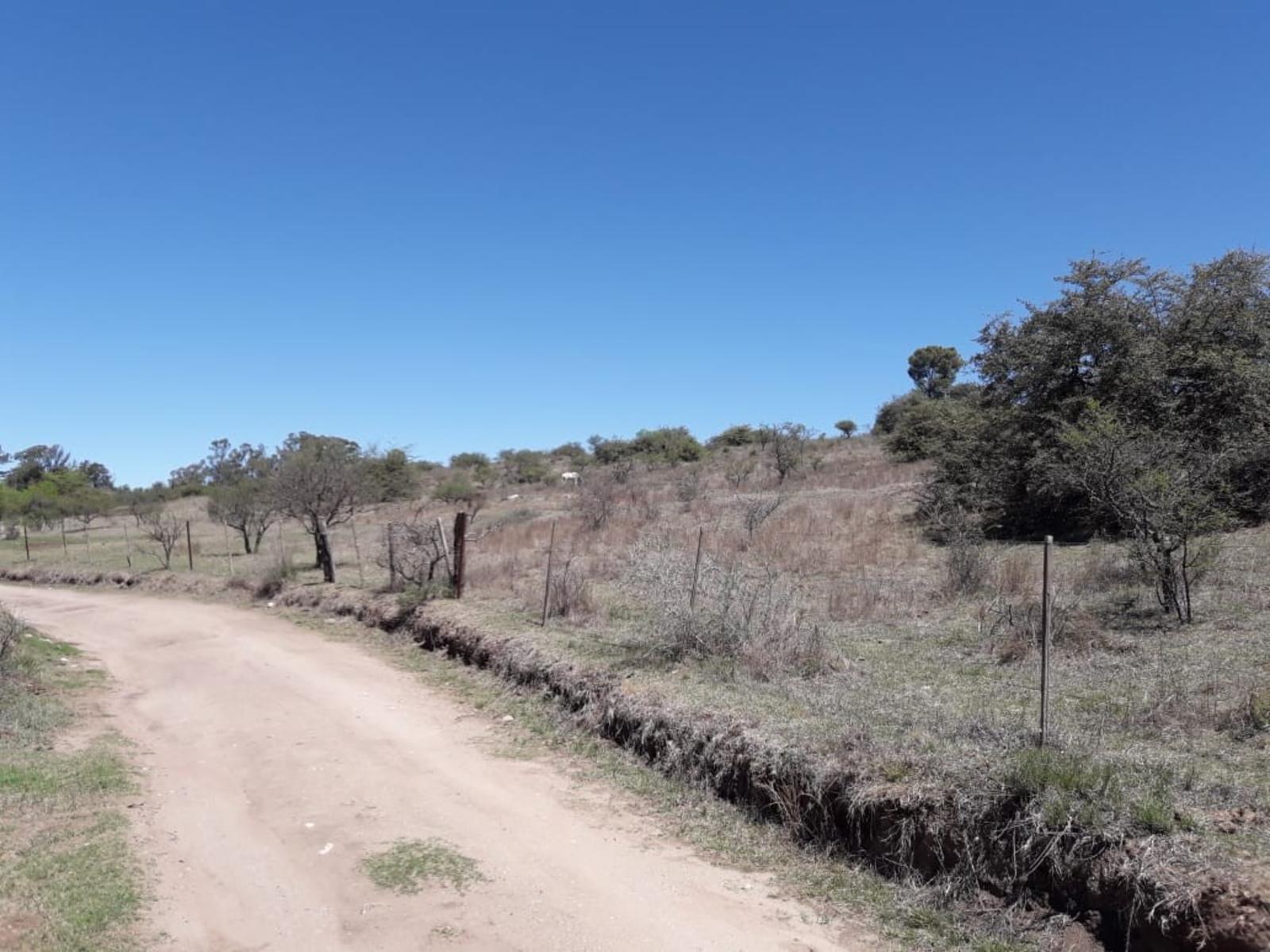 Terreno 8.3 Ha Escritura Los Reartes Córdoba