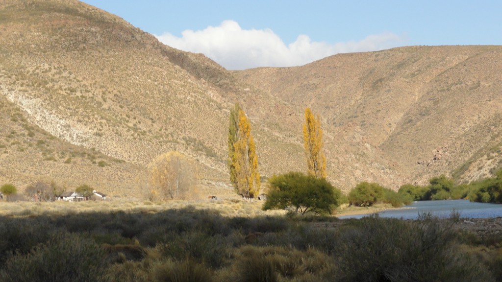 Campo en venta en Pichileufu