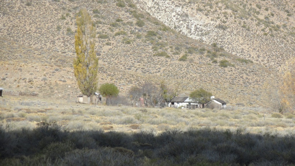 Campo en venta en Pichileufu