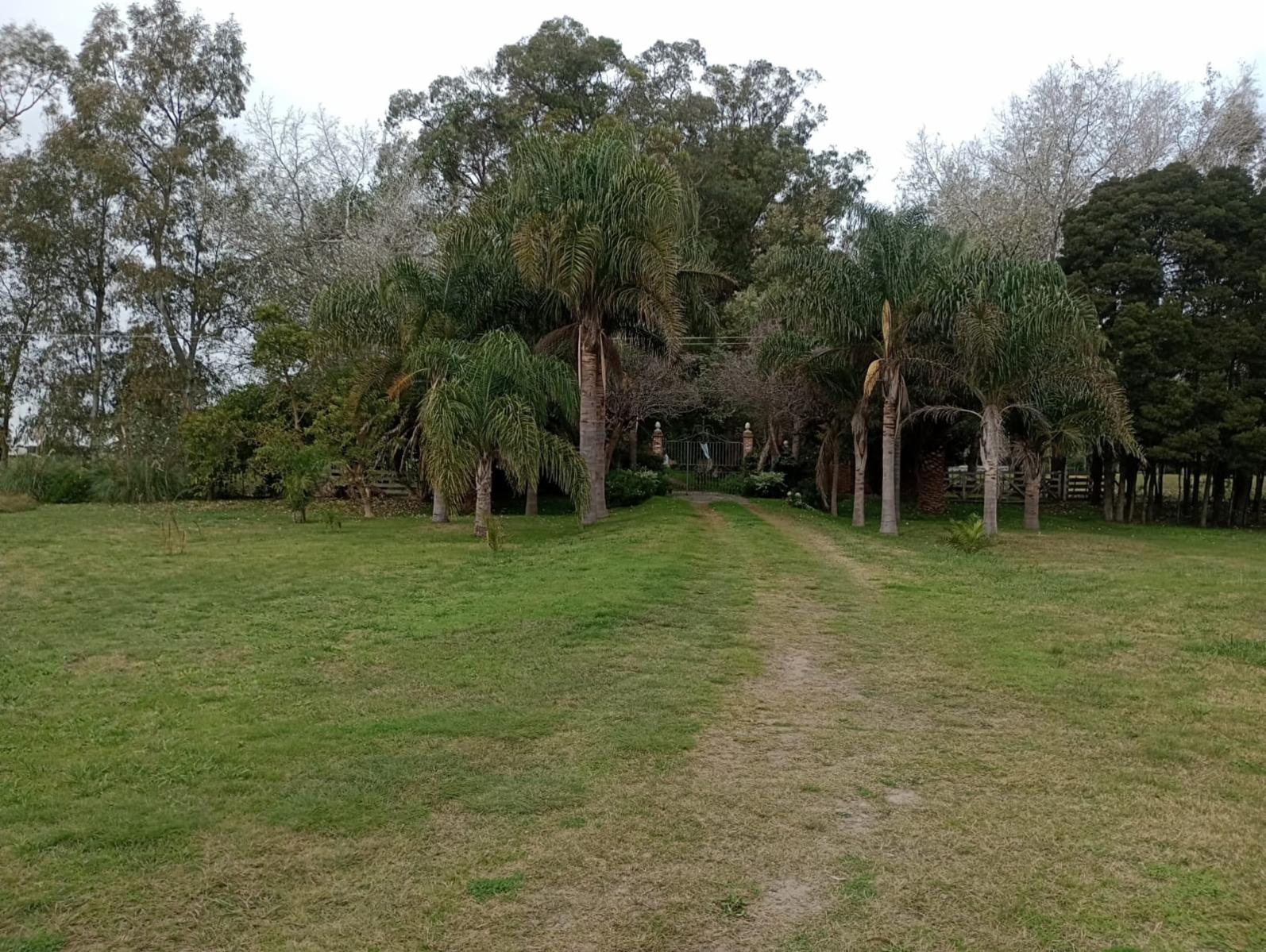 Campo En Venta En Magdalena-Pastoreo Natural Intensivo