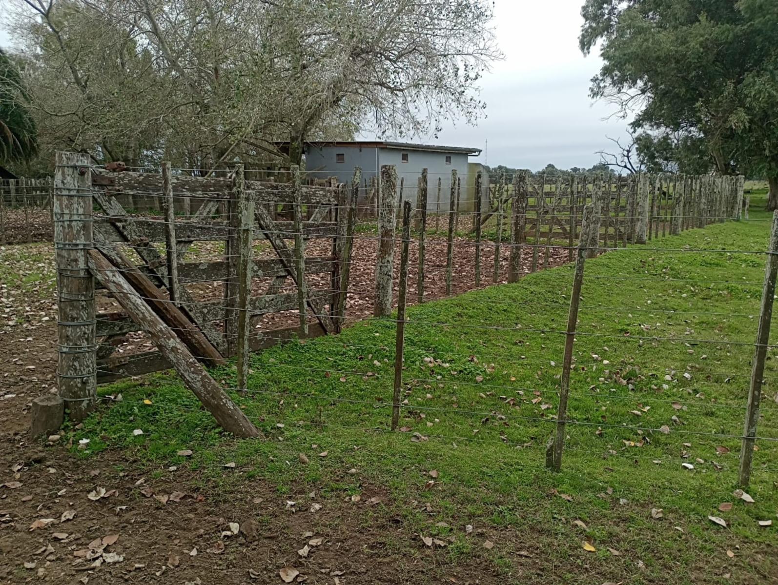 Campo En Venta En Magdalena-Pastoreo Natural Intensivo