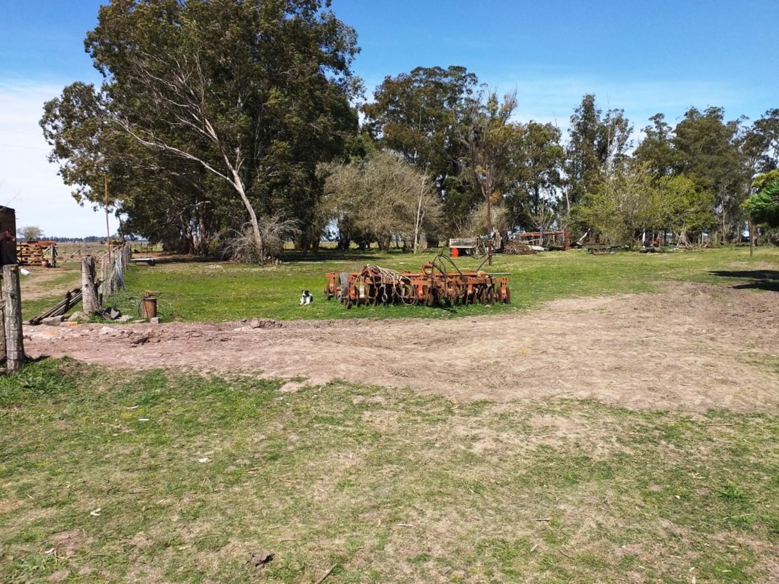 CAMPO en Venta 77 hectáreas en Punta Indio