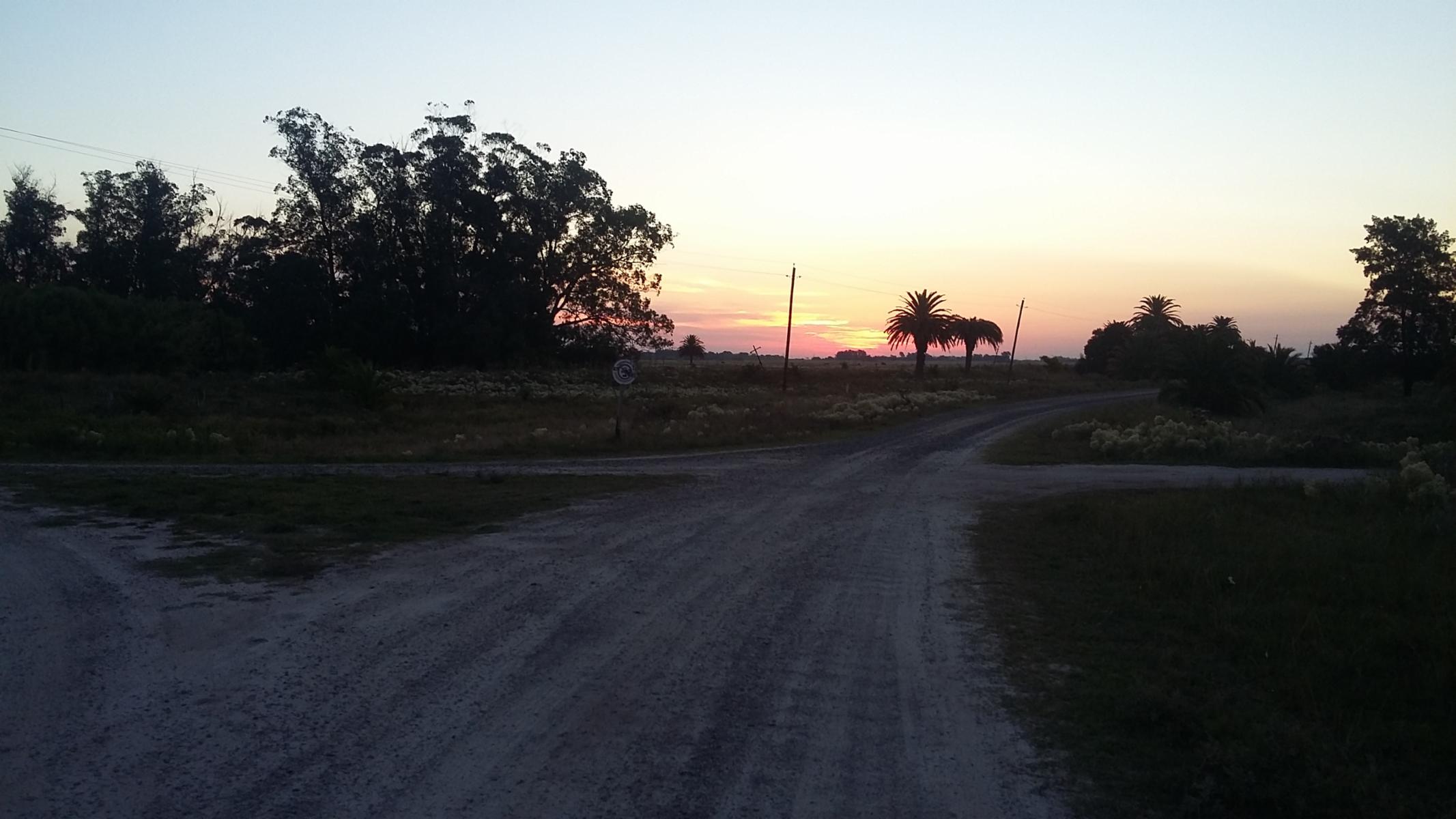 CAMPO 12,5 HECTÁREAS EN LAS TAHONAS