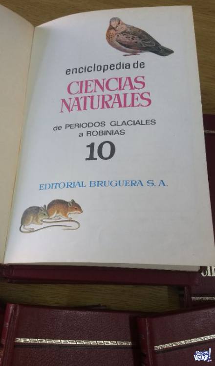 VENDO LIBROS COLECCIÓN 'ENCICLOPEDIA CIENCIAS NATURALES BRU