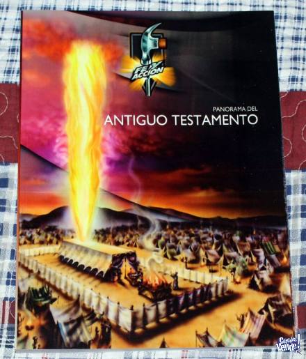 Panorama del Antiguo Testamento (Serie Fe y Acción)