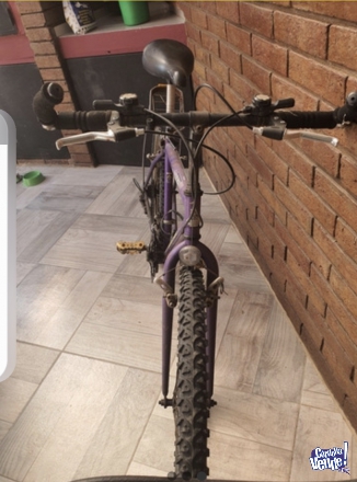 Bicicleta Raleigh rodado 26 un regalo en Argentina Vende