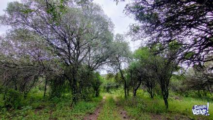 Vendo Terrenos Salsipuedes Cordoba