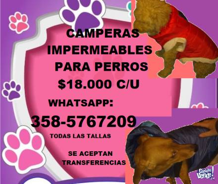 ROPA PARA PERROS