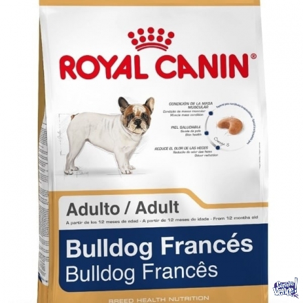 Royal canin bulldog frances adultos x 7.5kg retira zona sur