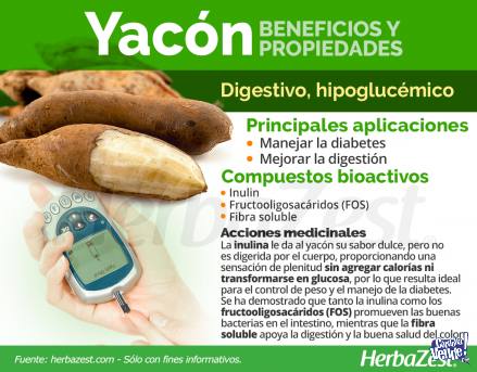yacon, reduce nivel de glucosa en sangre