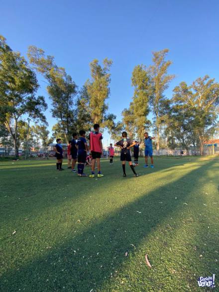 Escuela Integral De Fútbol Talleres Club del Gol