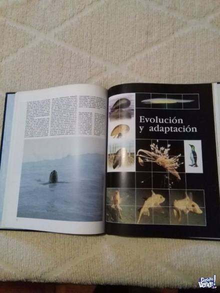 Colección Completa Jacques Cousteau Enciclopedia del Mar