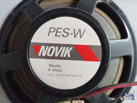 Woofer 8 Ohms CGC -61532925-PES-WNOVIK -A reparar- Técnicos