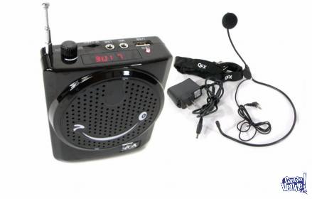 Microfono Con Amplificador Usb Radio Micro Sd Bat Litio 5w