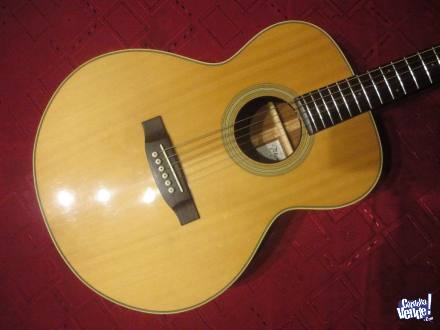 Guitarra Acustica Takamine G260 con funda acolchada