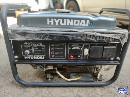 Generador F2.5 Kw Hy 3000 Hyundai Hhy 3000 Fe 