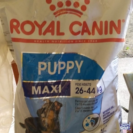 Royal canin maxi puppy x 15kg retira zona sur 