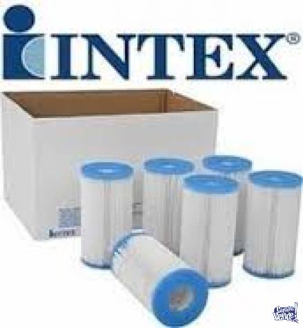 Respuesto Filtro Intex X unidad