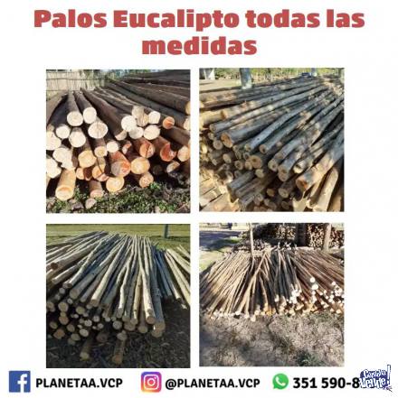 Palos de eucaliptos en Argentina Vende