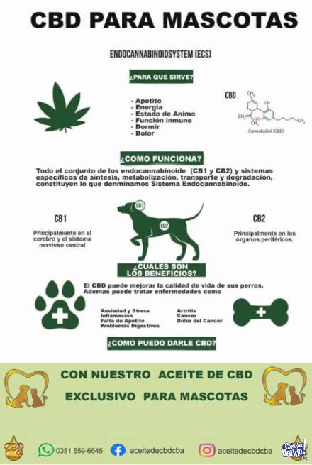 Aceite de CBD Medicinal en Cordoba Argentina