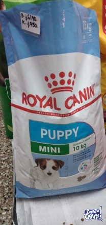 Royal canin mini puppy x 7.5kg retira zona sur