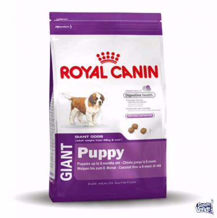 ROYAL CANIN GIANT PUPPY X 15KG