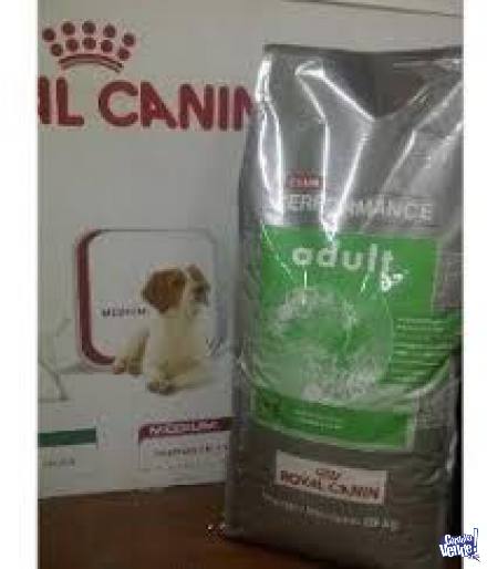 ROYAL CANIN PERFOMANCE ADULTO 20KG