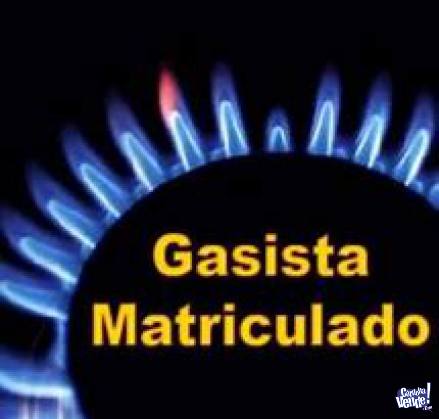 GASISTA  MATRICULADO  ECOGAS   Repar.- Instal.  (155484646) en Argentina Vende