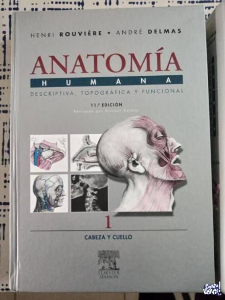 Anatomia Coleccion Rouviere 11va Edicion