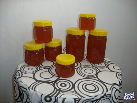 Miel pura de abejas en Argentina Vende