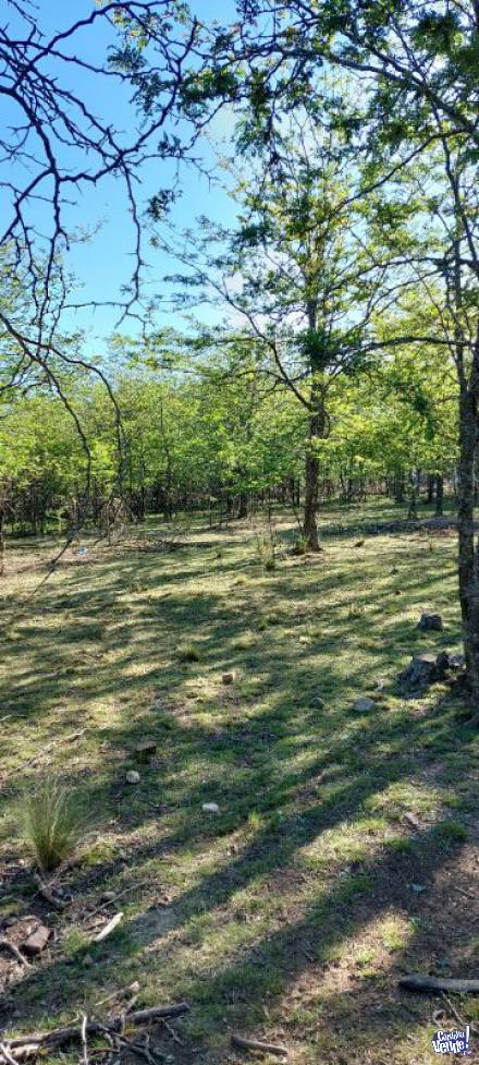 TERRENO EN SANTA ROSA DE CALAMUCHITA