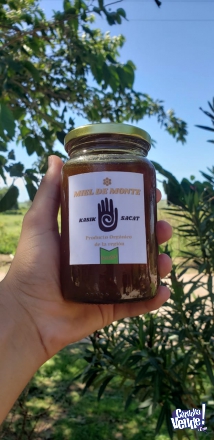 Miel pura  en Argentina Vende