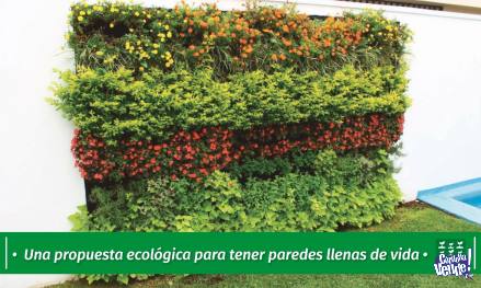 Jardines Verticales en Córdoba BIEN VERDE