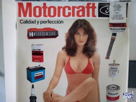 Almanaque Motorcraft 1981