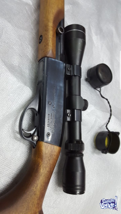 Carabina Remington 552 calibre 22 speedmaster