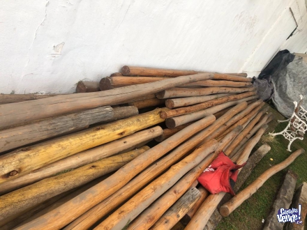 Vendo postes de eucaliptus saligne barnizados