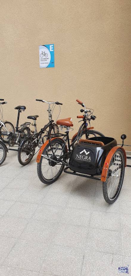 Bicicleta Estilo Antigua Con Sidecar Eléctrica