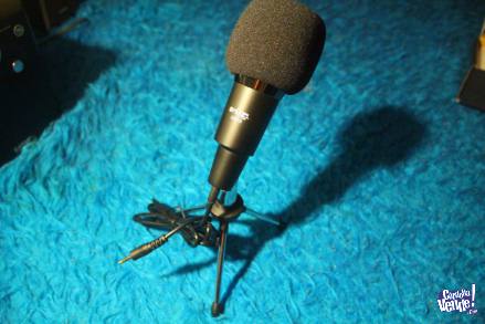 Microfono Hugel Gm18 Cardioide Profesional Hd Pc, Estudio