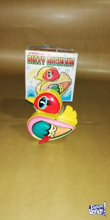 Dizzy Duckling