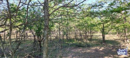 TERRENO EN SANTA ROSA DE CALAMUCHITA